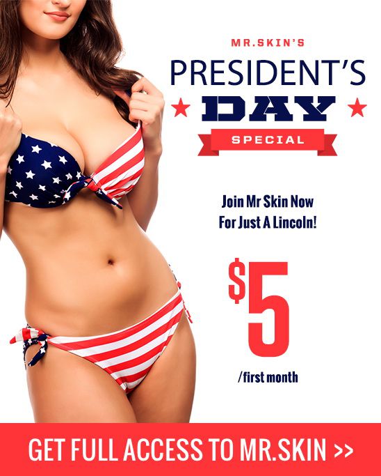 Mr. Skin President Day weekend sale!